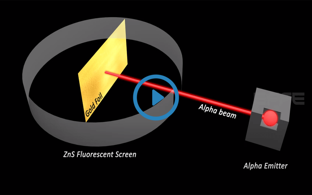 Portfolio: The Revolutionary Influence of EFFE Animation’s 3D Educational Video Makers
