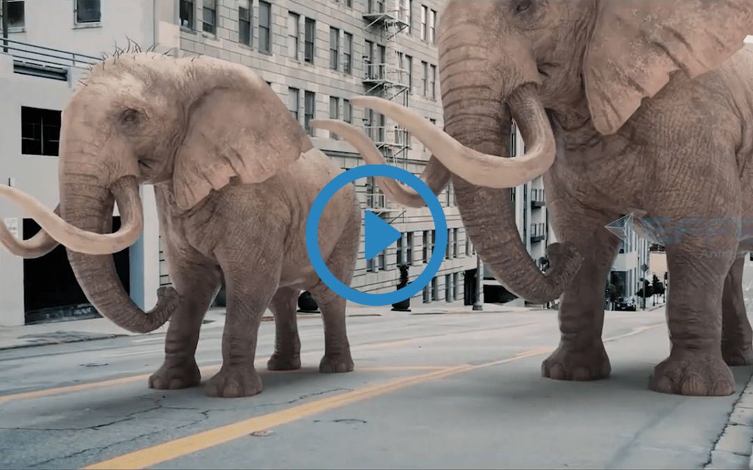 Portfolio: Innovative Shoe Advertisements with the Excellence of VFX Animation