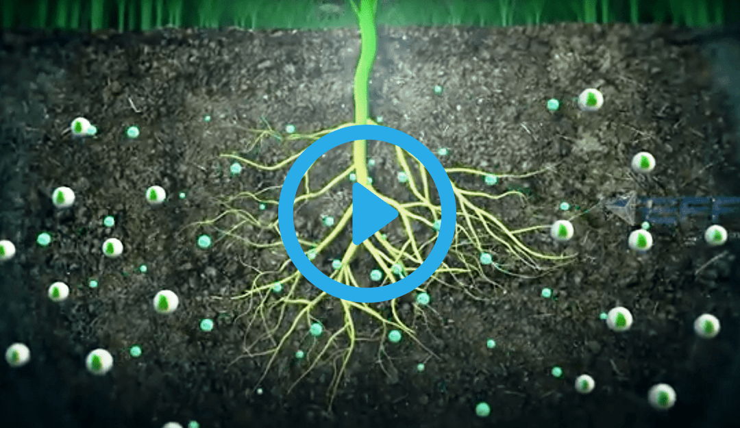 Portfolio: Unlocking Agricultural Efficiency Through Corporate Video Production Agency | EFFE Animation