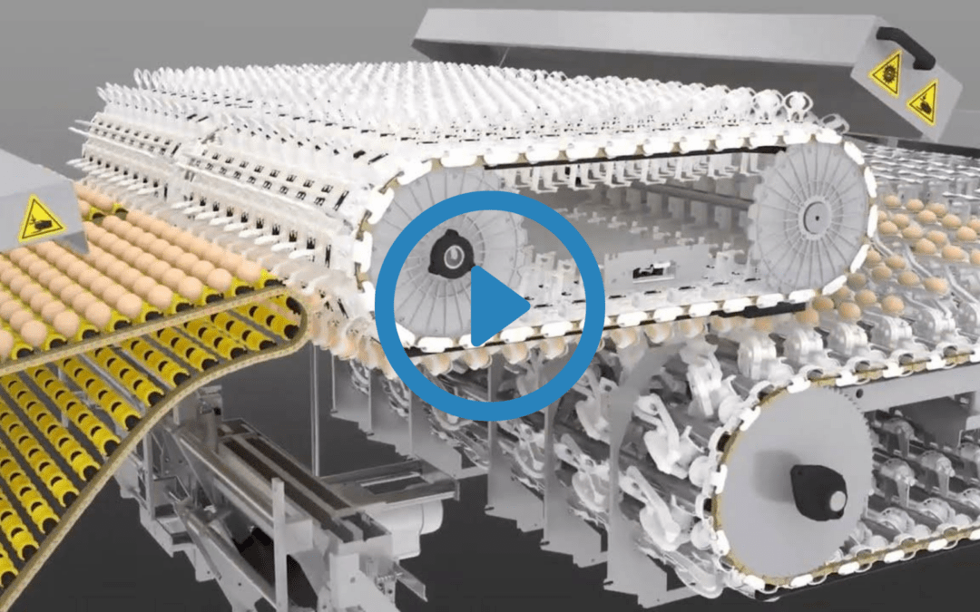 Portfolio: Explore the Fascinating World of Egg Processing Animation Video | 3D Animation Process Company