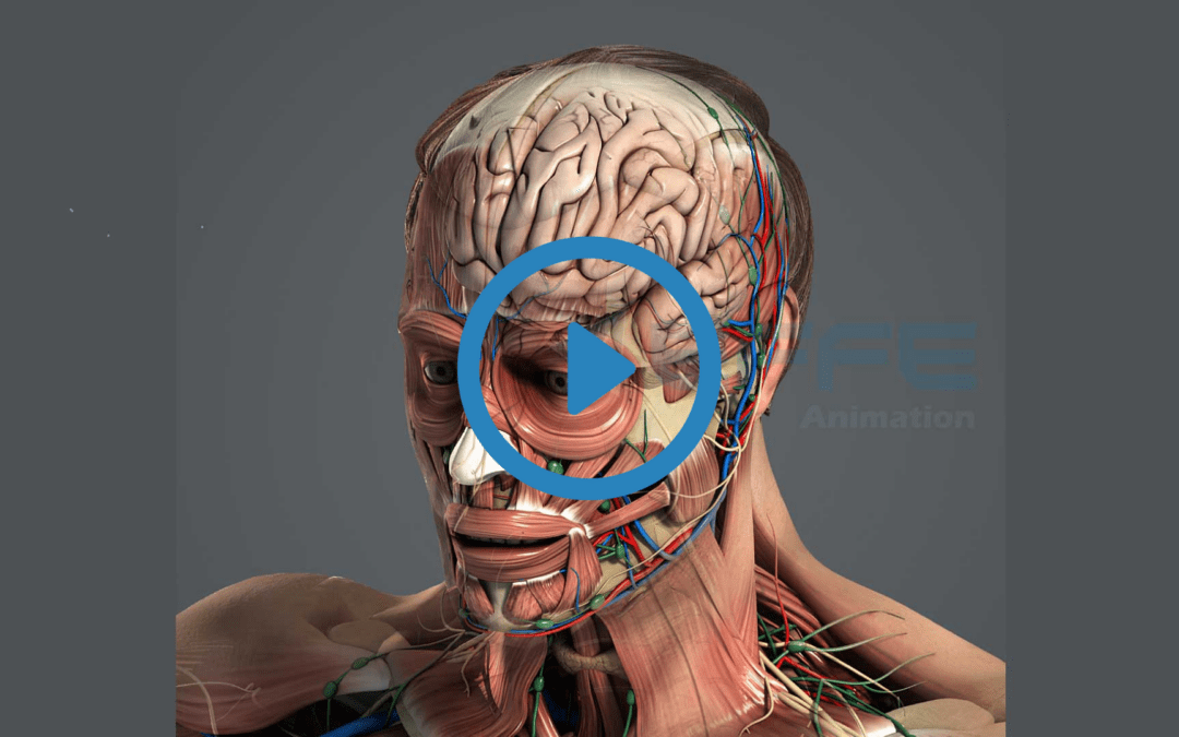 innovative 3D Visualization: The Science Behind Cranioplasty Surgery