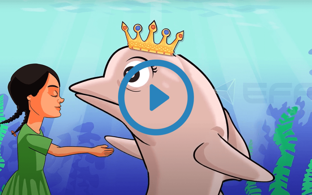 Portfolio: EFFE Animation’s Startup Explainer Video for Education