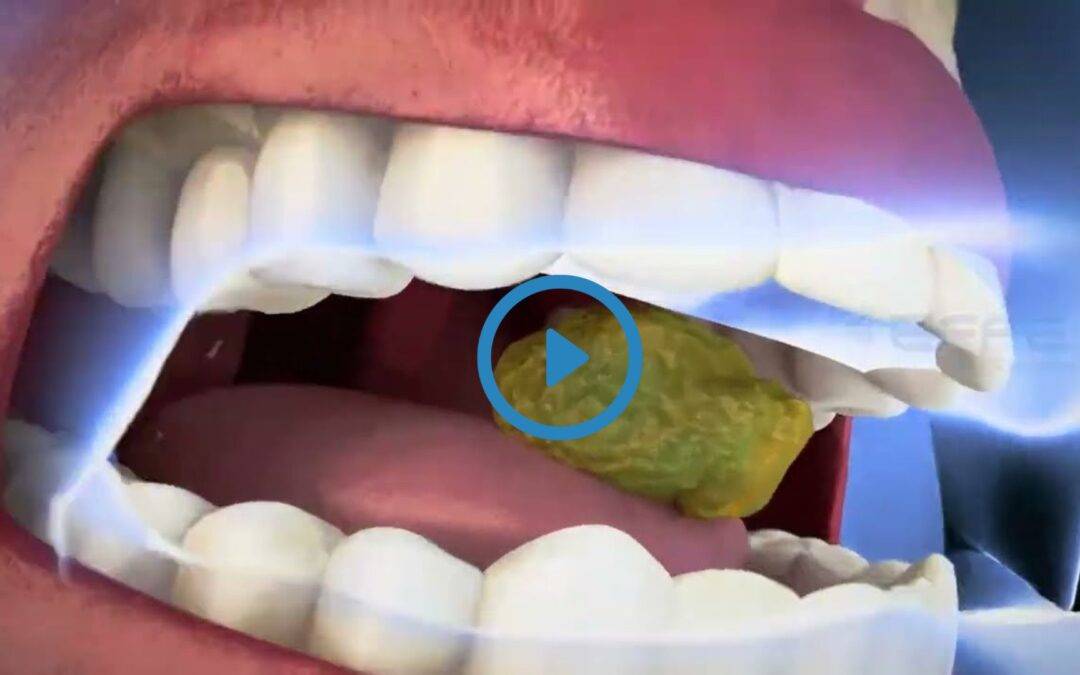 Portfolio: 3D Animated Medical Video of Food Digestion | Medical Animation Company