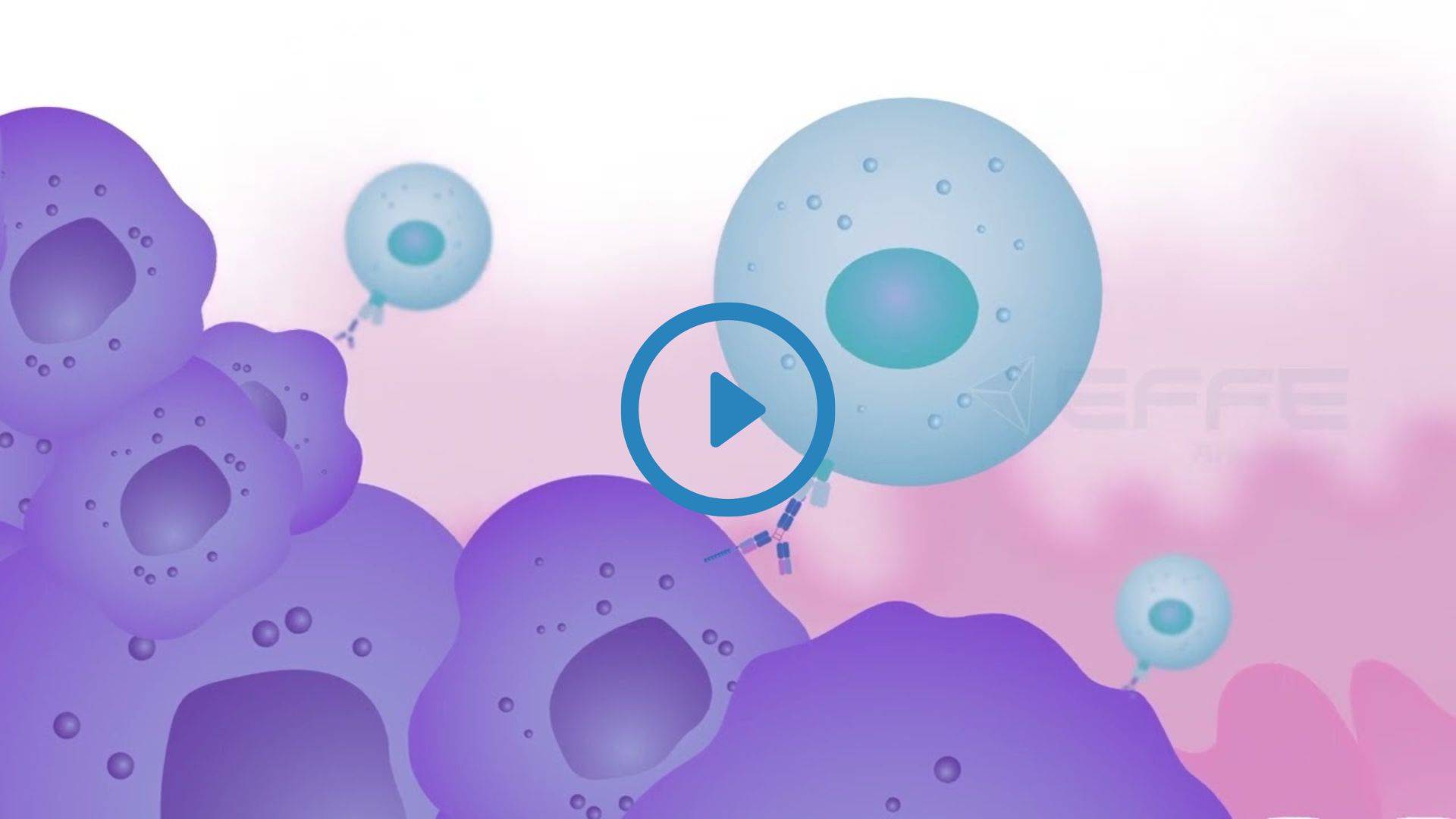 Best 2D Tumor Cells Biology Animation Explainer Video