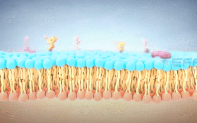 Portfolio: Exploring Cellular Life with Plant Cell 3D Animation