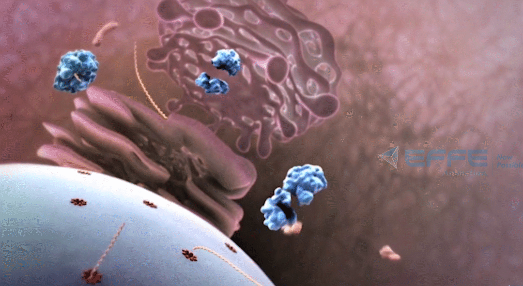 Virus Entry & Replication Animation