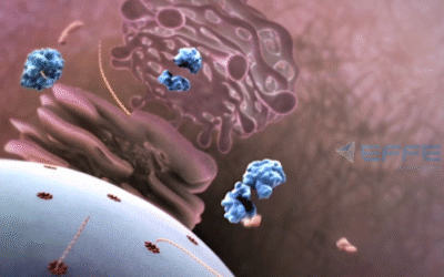 Portfolio: Understanding Disease Progression through 3D Cellular Animation Videos
