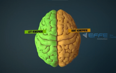 Portfolio: Discovering How the Brain Works through Human Brain 3D Animation