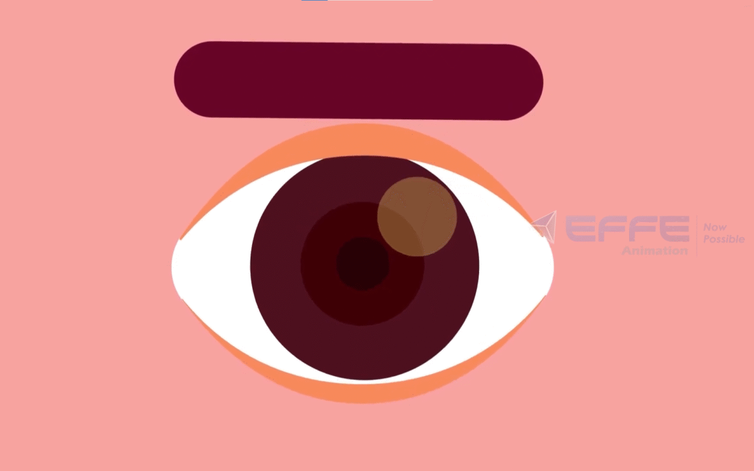 human eye anatomy animation