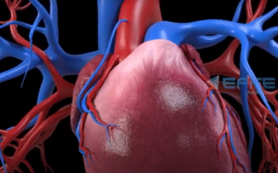 Portfolio: Empowering Cardiac Education with Realistic 3D Surgery Visuals