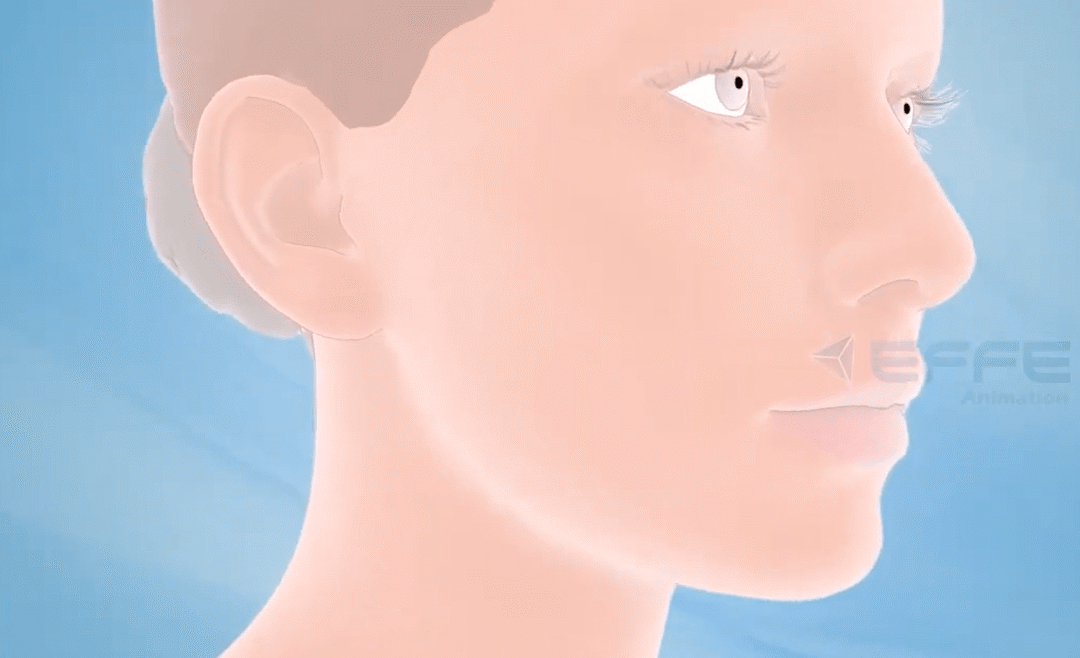 dental application animation videos