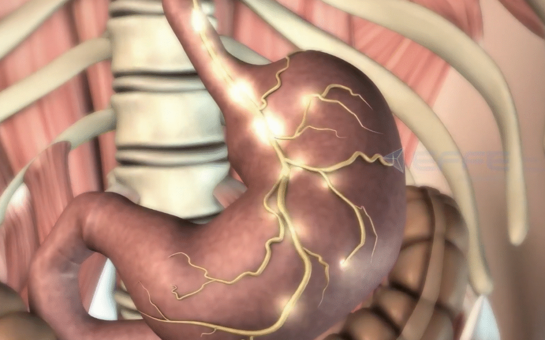 Portfolio: 3D Human Digestive System Animation | Biology Explained