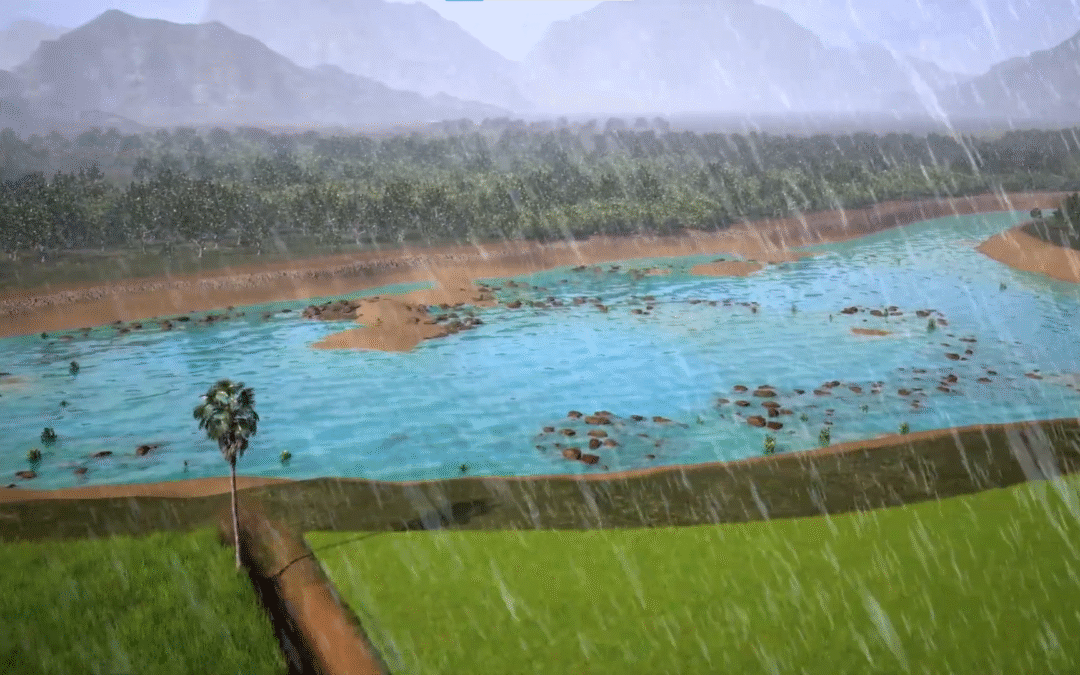 Portfolio:How Rainwater Harvesting Tanks Improve Surface Water Storage – 3D Project